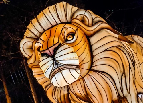 A close-up of a beautifully crafted lion sculpture, illuminated against a dark background.