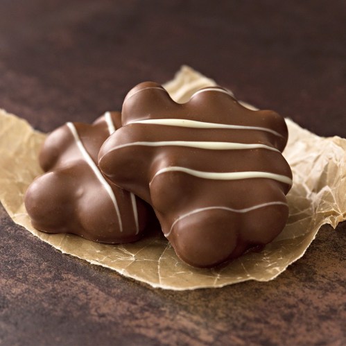 Two chocolate-covered treats with white drizzle, resting on crumpled parchment paper.