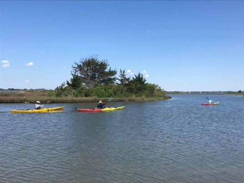 Three kayakers paddle through a calm waterway surrounded by greenery under a clear blue sky.