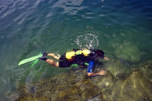 A person in snorkeling gear swims underwater near a rocky shoreline, with bubbles rising around them.