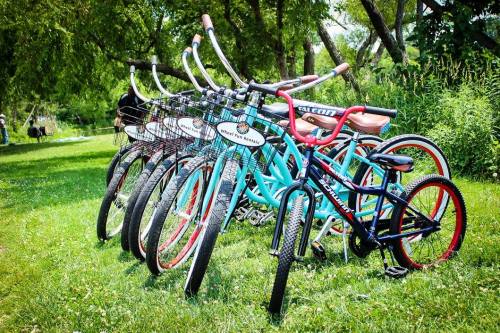 A row of colorful bicycles parked on green grass, surrounded by trees and foliage.
