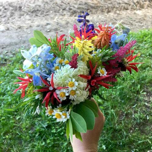 A vibrant bouquet of colorful wildflowers held in a hand, set against a grassy background.
