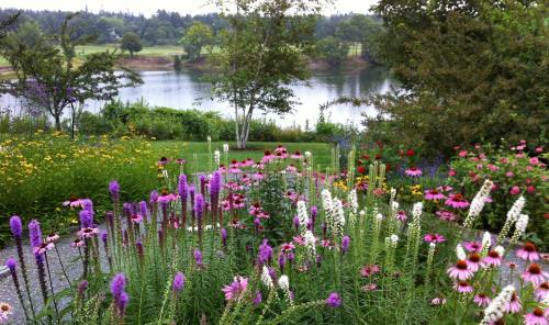A vibrant garden filled with colorful flowers in front of a serene lake and lush greenery.