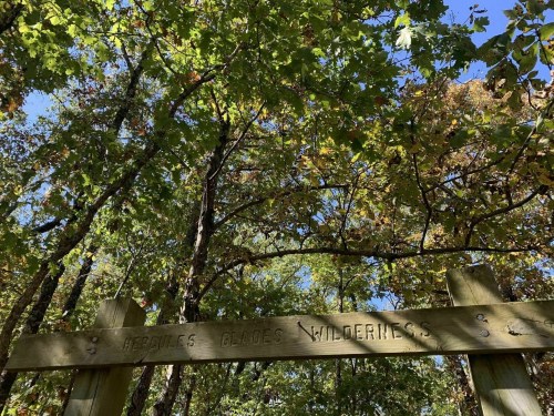 Wooden sign reading "Hepburn's Blades Wilderness" surrounded by lush green trees and a clear blue sky.