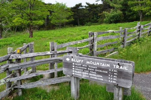 A wooden signpost for Bluff Mountain Trail with distance markers, surrounded by green grass and trees.