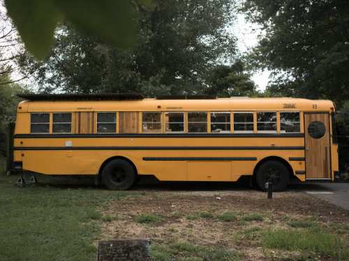 A yellow school bus parked on a grassy area, surrounded by trees and greenery.