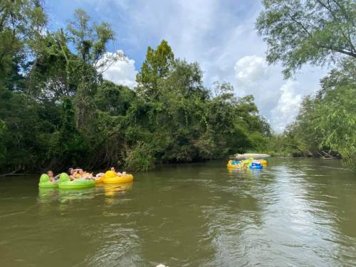 People floating on colorful inner tubes in a serene river surrounded by lush greenery and a blue sky.