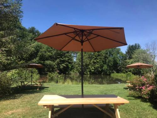A sunny outdoor scene featuring a wooden table with an umbrella, overlooking a pond and lush greenery.