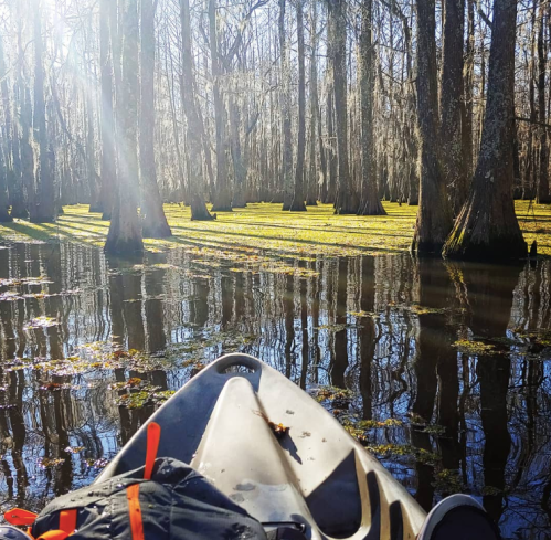 A kayak on calm water surrounded by tall trees, with sunlight filtering through and reflections on the surface.