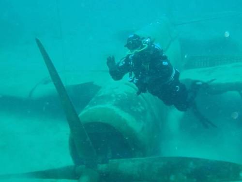 A diver explores a submerged aircraft wreck, with a propeller visible in the foreground and underwater visibility.