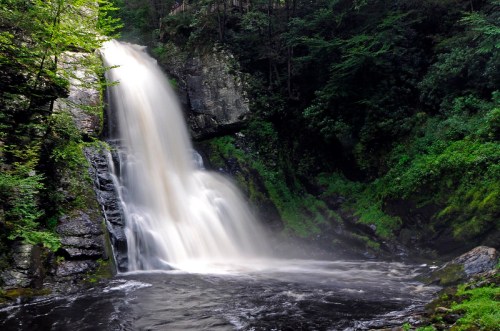 A serene waterfall cascades over rocky cliffs into a dark pool, surrounded by lush green foliage.