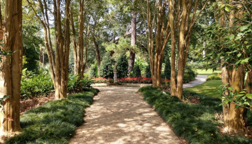 A serene garden path lined with trees, leading to vibrant flower beds and lush greenery.