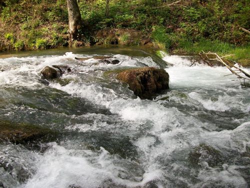 A flowing stream with clear water cascading over rocks, surrounded by lush greenery and trees.