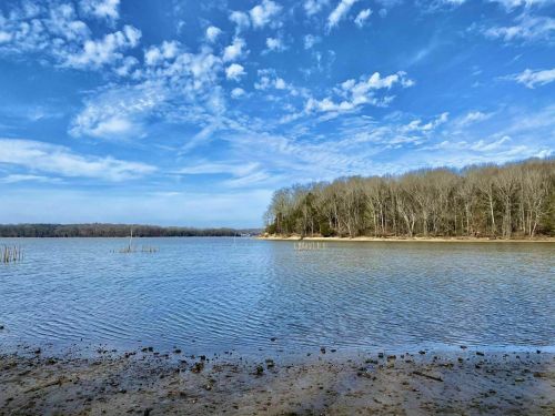 A serene lake scene with calm water, a clear blue sky, and trees lining the shore under scattered clouds.