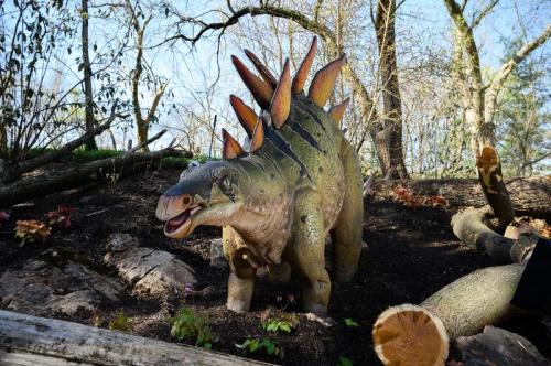 A colorful dinosaur sculpture with spiky back, surrounded by trees and rocks in a natural setting.