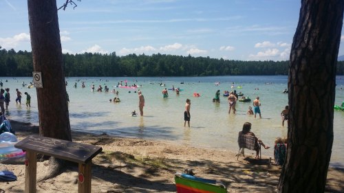 A busy beach scene with people swimming and relaxing in the water under a clear blue sky and trees in the background.