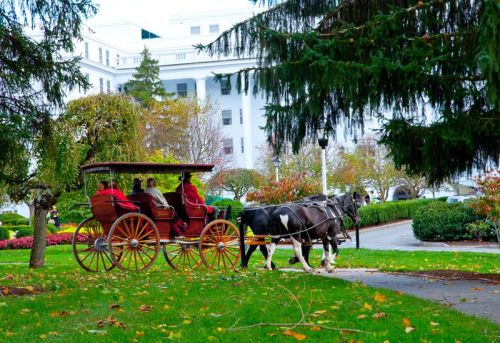 A horse-drawn carriage with passengers rides through a park, surrounded by trees and colorful autumn foliage.