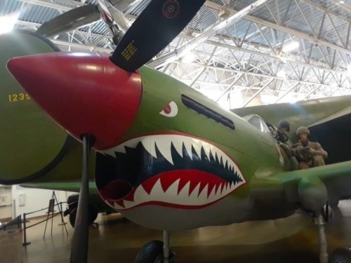 A vintage military aircraft with a distinctive shark mouth design on the nose, displayed indoors.