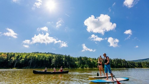 Two people paddleboarding on a lake, with a canoe and others in the background, under a sunny blue sky.