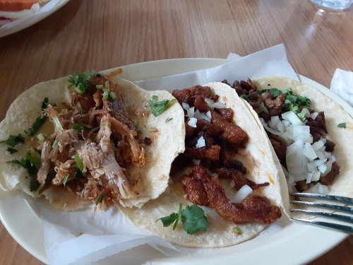 Three tacos on a plate: one with shredded meat, one with diced meat, and one with chopped onions and cilantro.