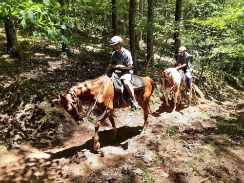 Two people riding horses along a wooded trail, surrounded by lush green trees and dappled sunlight.