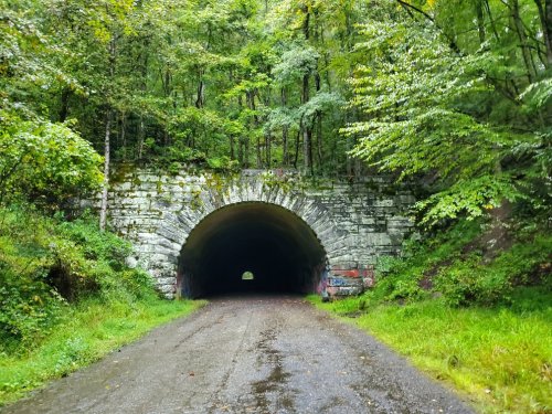 A stone tunnel surrounded by lush green trees, with a gravel path leading into the dark opening.