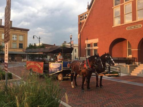 A horse-drawn carriage waits on a brick street near a historic building, with a driver preparing for a ride.