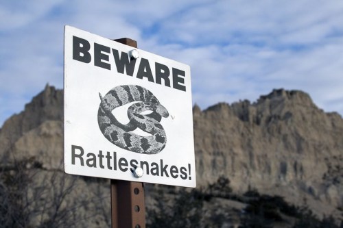 A warning sign reading "Beware Rattlesnakes!" with an illustration of a rattlesnake, set against a rocky landscape.