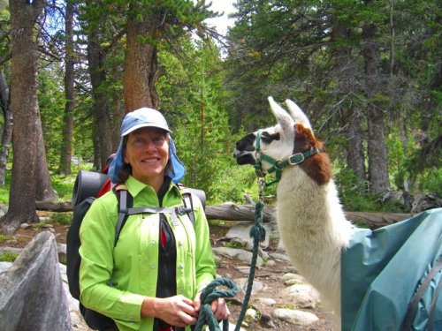 A smiling woman in a green shirt stands next to a llama in a forested area, both surrounded by trees and rocks.
