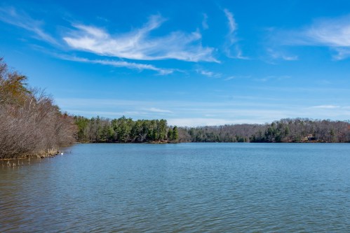 A serene lake surrounded by trees under a clear blue sky with wispy clouds.