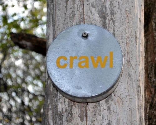 A metallic circular object mounted on a tree trunk with the word "crawl" displayed in bold orange letters.