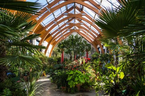 A lush greenhouse with a wooden arch structure, filled with various tropical plants and vibrant greenery.