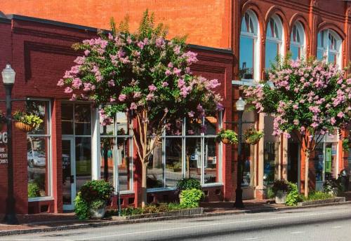Charming brick building with large windows, adorned with blooming trees and vibrant flower pots along a sunny street.