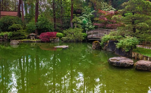 A serene garden with a wooden bridge, lush greenery, colorful plants, and a calm pond reflecting the surroundings.