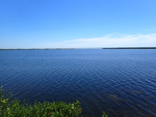 A serene blue lake under a clear sky, with gentle ripples on the water's surface and lush greenery along the shore.