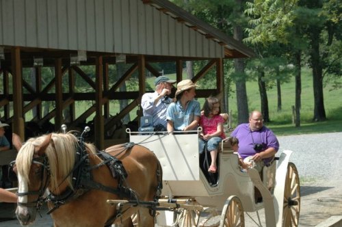 A horse-drawn carriage with four passengers, parked under a shelter in a green outdoor setting.