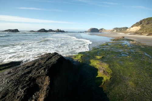 A serene beach scene with rocky formations, gentle waves, and green seaweed along the shore under a clear blue sky.