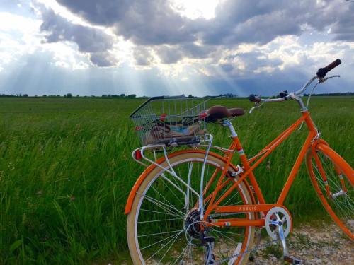 An orange bicycle with a basket stands beside a grassy field under a cloudy sky with rays of sunlight.