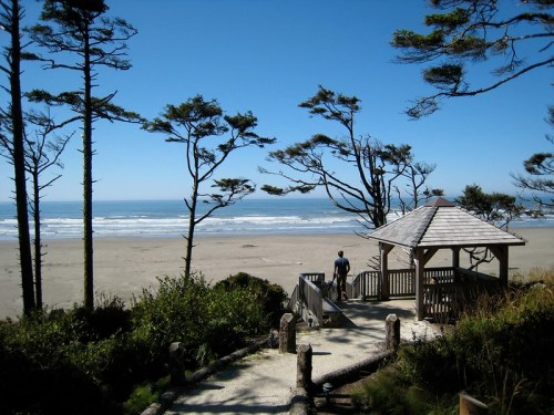 A person stands near a gazebo overlooking a sandy beach and ocean, framed by tall trees under a clear blue sky.