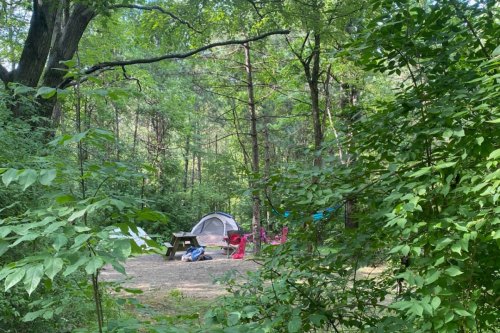 A secluded campsite surrounded by trees, featuring a tent, picnic table, and scattered camping gear.