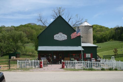 A green barn with a silo, featuring a sign that reads "The Blue Goose," surrounded by a white fence and American flag.