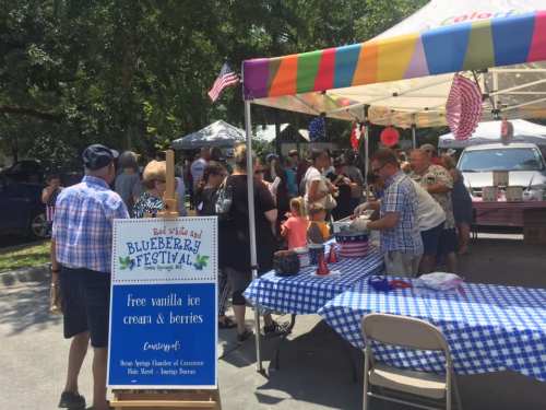 A bustling outdoor festival scene with people enjoying free ice cream and berries under colorful tents.