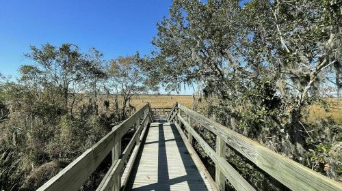 A wooden boardwalk leads through a lush landscape with trees and open fields under a clear blue sky.