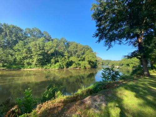 A serene river scene surrounded by lush greenery and trees under a clear blue sky.