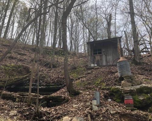 A rustic wooden cabin on a hillside, surrounded by trees and dry leaves, with a small water source nearby.