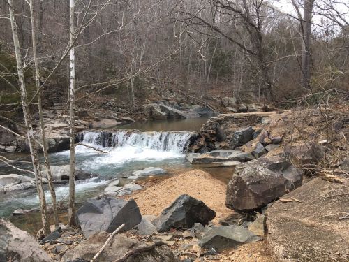A serene stream flows over rocks, surrounded by bare trees and a rocky shoreline in a tranquil natural setting.