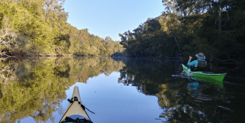 A serene kayak scene on a calm river, surrounded by lush greenery and reflecting trees in the water.