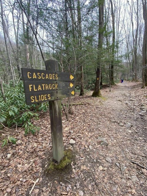 Wooden signpost with arrows pointing to "Cascades," "Flatrock," and "Slides" along a forested hiking trail.
