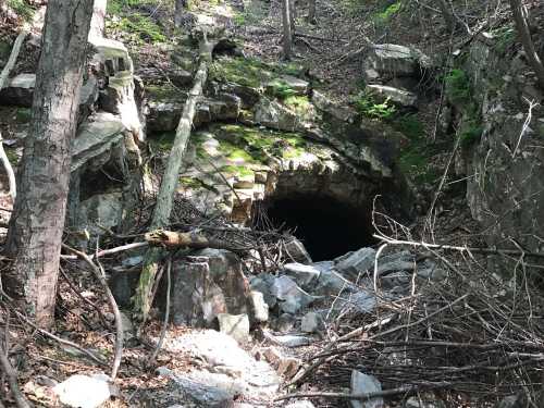 An overgrown cave entrance surrounded by rocks and trees in a wooded area.