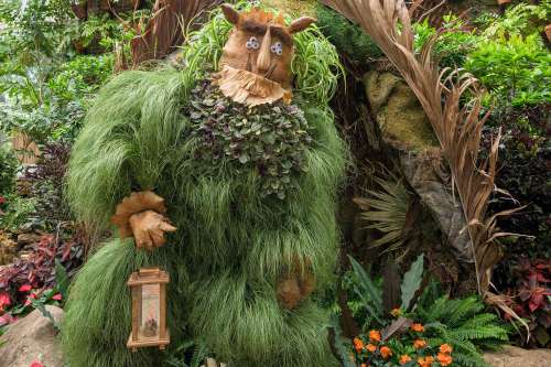 A whimsical figure made of greenery and plants, holding a lantern, surrounded by lush tropical foliage.